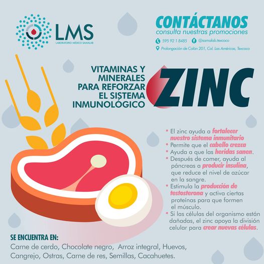 Vitaminas y Minerales para Reforzar el Sistema Inmunológico ZING